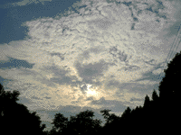 IMGP0190