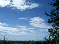 IMGP0248