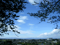 IMGP0251