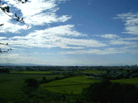 IMGP0254