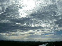 IMGP0266