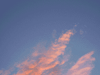 IMGP0280