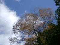 IMGP0288