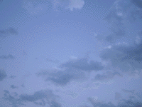 IMGP0541