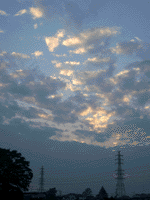 IMGP0568